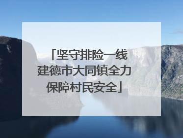 坚守排险一线 建德市大同镇全力保障村民安全