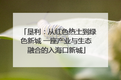 垦利：从红色热土到绿色新城 一座产业与生态融合的入海口新城