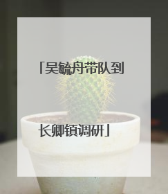 吴毓舟带队到长卿镇调研
