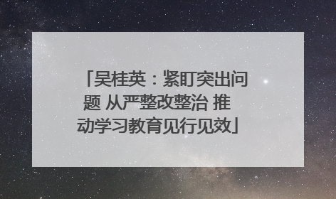 吴桂英：紧盯突出问题 从严整改整治 推动学习教育见行见效