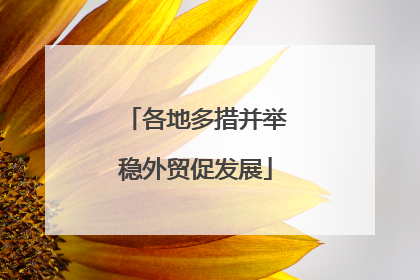 各地多措并举稳外贸促发展
