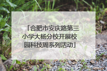 合肥市安庆路第三小学大杨分校开展校园科技周系列活动