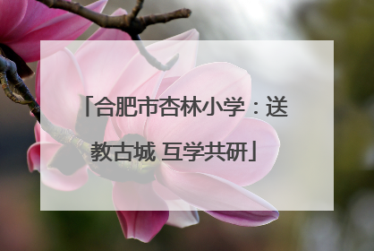 合肥市杏林小学：送教古城 互学共研