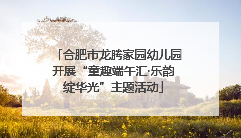 合肥市龙腾家园幼儿园开展“童趣端午汇·乐韵绽华光”主题活动