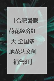 合肥暑假荷花经济红火 全国多地花艺文创销售旺