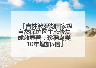 吉林波罗湖国家级自然保护区生态修复成效显著，珍稀鸟类10年增加5倍