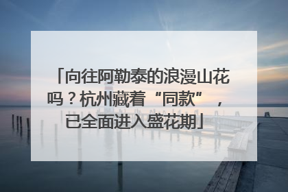 向往阿勒泰的浪漫山花吗？杭州藏着“同款”，已全面进入盛花期