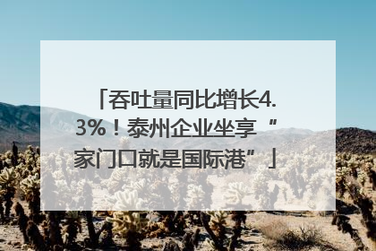 吞吐量同比增长4.3%！泰州企业坐享“家门口就是国际港”