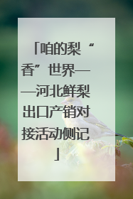 咱的梨“香”世界——河北鲜梨出口产销对接活动侧记