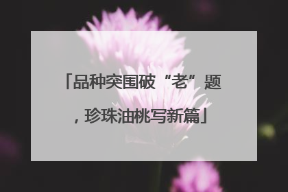 品种突围破“老”题，珍珠油桃写新篇