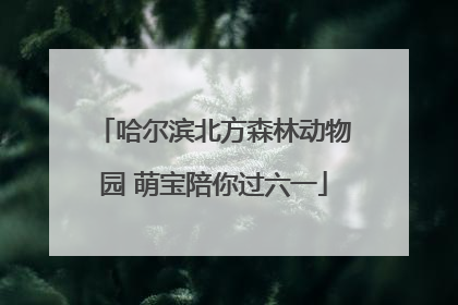 哈尔滨北方森林动物园 萌宝陪你过六一