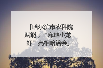 哈尔滨市农科院赋能，“寒地小龙虾”亮相哈洽会