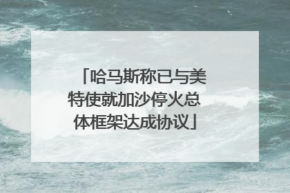 哈马斯称已与美特使就加沙停火总体框架达成协议
