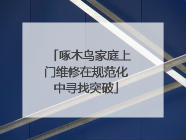 啄木鸟家庭上门维修在规范化中寻找突破