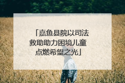 嘉鱼县院以司法救助助力困境儿童点燃希望之光