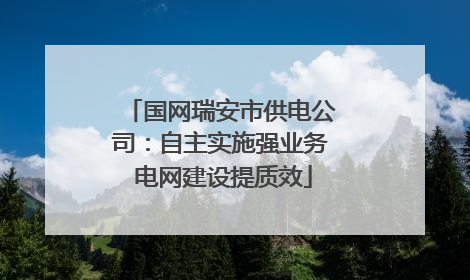 国网瑞安市供电公司：自主实施强业务 电网建设提质效
