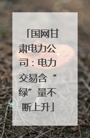 国网甘肃电力公司：电力交易含“绿”量不断上升