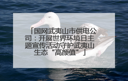 国网武夷山市供电公司：开展世界环境日主题宣传活动守护武夷山生态“高颜值”