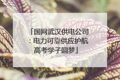 国网武汉供电公司：电力可靠供应护航高考学子圆梦