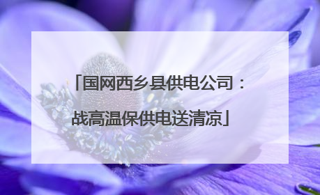 国网西乡县供电公司：战高温保供电送清凉