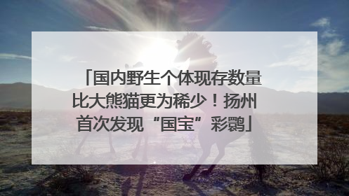 国内野生个体现存数量比大熊猫更为稀少！扬州首次发现“国宝”彩鹮