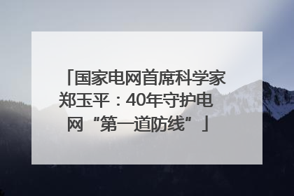 国家电网首席科学家郑玉平：40年守护电网“第一道防线”
