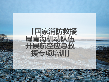 国家消防救援局青海机动队伍开展航空应急救援专项培训