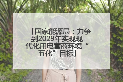 国家能源局：力争到2029年实现现代化用电营商环境“五化”目标