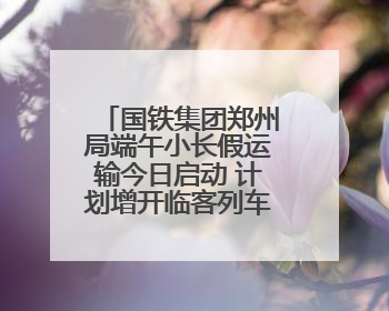 国铁集团郑州局端午小长假运输今日启动 计划增开临客列车187列