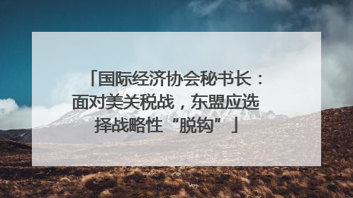 国际经济协会秘书长：面对美关税战，东盟应选择战略性“脱钩”