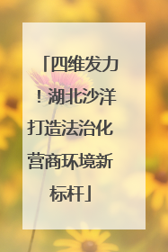 四维发力！湖北沙洋打造法治化营商环境新标杆