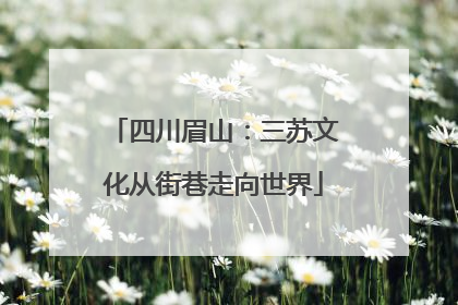 四川眉山：三苏文化从街巷走向世界
