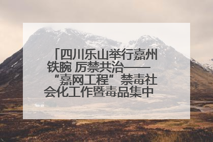四川乐山举行嘉州铁腕 厉禁共治——“嘉网工程”禁毒社会化工作暨毒品集中销毁启动仪式