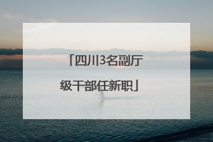 四川3名副厅级干部任新职