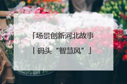 场景创新河北故事丨码头“智慧风”