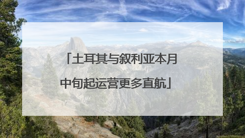 土耳其与叙利亚本月中旬起运营更多直航