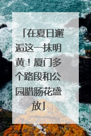 在夏日邂逅这一抹明黄！厦门多个路段和公园腊肠花盛放
