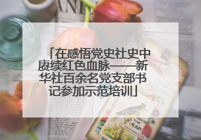 在感悟党史社史中赓续红色血脉——新华社百余名党支部书记参加示范培训