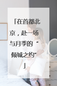 在首都北京，赴一场与月季的“倾城之约”