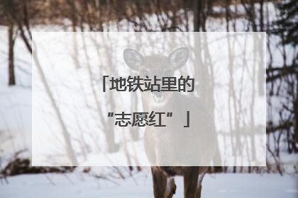 地铁站里的“志愿红”