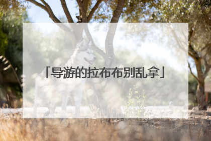 导游的拉布布别乱拿