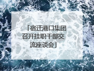 宿迁港口集团召开挂职干部交流座谈会