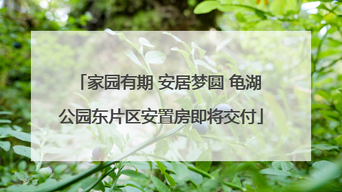 家园有期 安居梦圆 龟湖公园东片区安置房即将交付