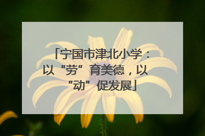 宁国市津北小学：以“劳”育美德，以“动”促发展