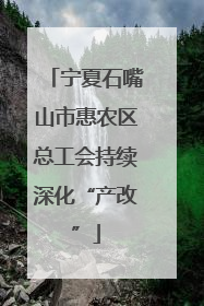 宁夏石嘴山市惠农区总工会持续深化“产改”