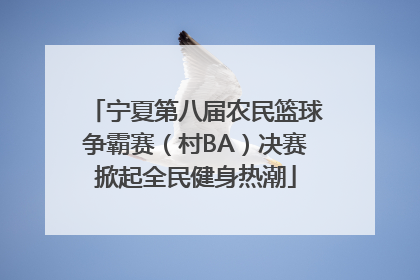 宁夏第八届农民篮球争霸赛（村BA）决赛掀起全民健身热潮