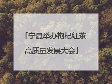 宁夏举办枸杞红茶高质量发展大会