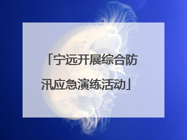宁远开展综合防汛应急演练活动