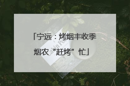 宁远：烤烟丰收季 烟农“赶烤”忙
