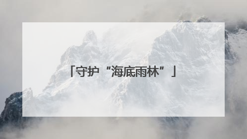守护“海底雨林”